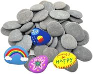 lifetop 50PCS Painting Rocks, Natur