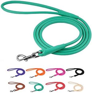 CollarDirect Rolled Leather Dog Leash 4ft, Soft Padded Training Leather Dog Lead 6ft, Puppy Leash Rolled Leather Small Medium Large Black Blue Red Orange Green Pink White (Mint Green, Size S 6ft)