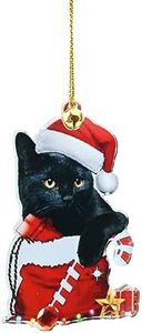 Gato de di
