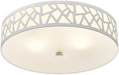 VICNIE 2-Light Flush Mount Ceiling