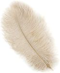 ZUCKER Ostrich Feathers for Centerpieces- Wedding Decorations- Feathers for Crafts, 12 Pieces, 13-16 inch, Beige