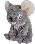 Wild Republic Koala Plush, Stuffed 