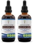 Mullein Leaf Alcohol-Free Liquid Extract, Organic Mullein (Verbascum Densiflorum) Dried Leaf Tincture Supplement (2x4 FL OZ)