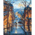 QYSFriday Paint by Numbers,Paint by Numbers for Adults Beginners 16 x 20 Inch Drawing Paintwork with Paintbrushes City Street Painting by Numbers Home Wall Decoration Without Frame