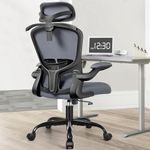 FelixKing Ergonomic Office Desk Chair with Headrest, Adjustable Lumbar Support, Height and Swivel, Comfy Task Chair with Flip-up Armrests, Ergo Mesh Backrest for Working Dark Gray