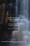 Developments in Environmental Regulation: Risk based regulation in the UK and Europe (Palgrave Studies in Environmental Policy and Regulation)