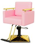 Baasha Luxury Gold Salon Chair with Memory Foam Cushioning Seat & Back, Hair Salon Chair with Stainless Steel Armrest, 360° Swivel Styling Chair, Weight Capacity Up to 440 lbs - Pink & Gold