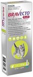 BRAVECTO CAT PLUS 112.5 MG 1.2 - 2.8 KG GREEN