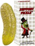 DR DINGUS Emotional Support Pickle - 100+ Positive Inspirational Phrases - Press Button - Family Friendly Gag Toy for Class, Office, Gift, Friends