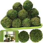 ZYAPA 21 Pack Green Moss Balls 8pcs