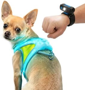 noxgear LightHound Light Up Reflective Dog Harness and Wrist Light, Small