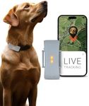 PAJ GPS Tracker for Dogs - Runaway Alarms + Worldwide Live Tracking - Battery Saving Mode Near Routers - Dog Recall - LED Lights - Waterproof (IP67) - fits every collar, grey