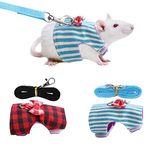 Small Animal Harnesses