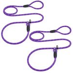 PETESCORT Slip Lead Dog Leash(Pack Of 2), Heavy Duty 1/2" 3/8" x 6 FT Strong Rope Slip Leash for Large, Medium & Small Dogs No Pulling Pet Training Leash Highly Reflective Threads (3/8in x 6Ft,Purple)