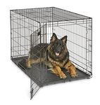 XL Dog Crate | MidWest iCrate Folding Metal Dog Crate | Divider Panel, Floor Protecting Feet, Leak-Proof Dog Tray | 48L x 30W x 33H Inches, XL Dog Breed, Black