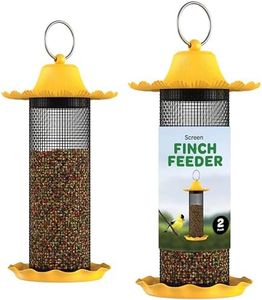 Finch Bird