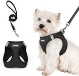 rabbitgoo Dog Harness Small Breed a