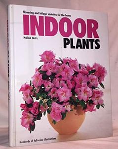 Indoor Pla