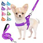 Lukovee Dog Leashes for Small Dogs, Lightweight Soft Small Dog Harness Neck & Chest Adjustable, Reflective Harness Anti-Twis Puppy Harness Vest Harness (XS-Small, Purple)