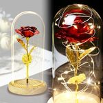 TINYOUTH Rose in Glass Dome, 24K Red Rose Gold Plated Rose Light Up Rose Dome, Batteries Included Beauty and the Beast Rose Gifts for Women/Her/Mum Wedding Anniversary Valentines Birthday Xmas