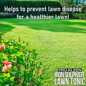 Pro-Kleen Lawn Tonic Liquid Iron Sulphate – 5L Grass Fertiliser & Turf Hardener