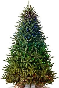 Balsam Hill 7ft Pre-Lit Classic Blue Spruce Artificial Christmas Tree with Twinkly Light Show