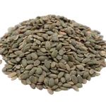 Unsalted Pumpkin Seed Kernels, 2 LBS by Gerbs – Top 14 Food Allergy Free & NON GMO - Vegan, Keto Safe & Kosher - Dry Roasted Premium Quality Seeds Grown in Mexico