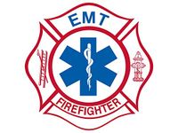 American Vinyl Emts