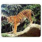 Beautiful Tiger Mouse Mat Pad - Big Cat Tigers Animal Mum PC Computer #8574