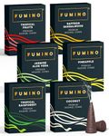 Fumino Incense Cones Tropical Tastes 90 Pack 6 Fragrances - Handmade Natural Masala Incense Cones for Meditation & Home Fragrance, Low-Smoke Fruity Tropical Scents, Bureau Veritas Certified