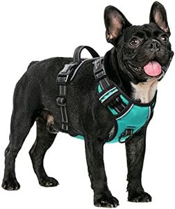 HEELE Dog 