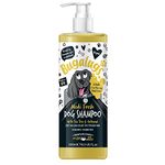 BUGALUGS Dog Shampoo for Itchy Skin Antibacterial And Antifungal Natural Medicated Safe Sensitive Formula - Fast Absorbing Skin Cooling First Aid relief For Skin Irritation