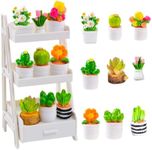 U-Zimikee 10 Pcs Miniature Dollhouse Plants Flowers with White Plant Stand, Miniature Bonsai Plant Mini Potted Plants Artificial Tiny Greenery Ornament Faux Flower Plants for Dollhouse Decoration