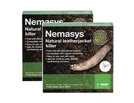 Nemasys Leatherjacket Killer nematode treatment (200 sqm)