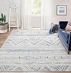 Area Rug Living Room Carpet: 5x7 La