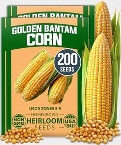 HOME GROWN Golden Bantam Corn 2 Pack β 200 π‘π’π‘-ππ π’ π¨π¦π Heirloom Vegetable Seeds β Grow Sweet Corn Outdoors β Easy for Beginners & Great for Home Gardeners βHigh Germination (Zea mays)