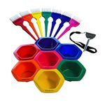 Professional Salon Hair Dye & Coloring Brush and Tint Bowl Set, 7 Rainbow Application Brushes and Mixing Bowls