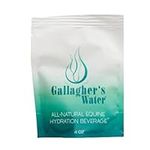 Gallagher's Water All-Natural Equin