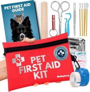 Dog First