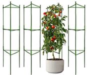 4 Pack Tomato Cage Plant Support Assembled - Vegetable Trellis,Assembled Multi-Functional Tomato Trellis for Climbing Vegetables,Climbing Plants, Vegetables, Flowers, Fruits, Vine