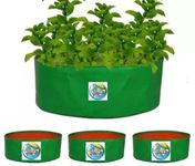 MASHKI HDPE Grow Bags for Terrace Gardening, Ideal for Growing Vegetable Plants Like Spinach and Palak. (Size 12x6 inch 5nos)