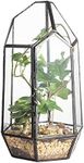 NCYP 22cm Height Closed Irregular Glass Terrarium with Door Succulent Planter Geometric Flower Plant Pot Tabletop Small Bonsai Container Desktop Box Candle Holder (No Plants)