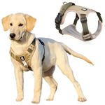 Qpets® Nylon Dog Harness, No-Pull Dog Strap Pet Safety Belt with Control Handle, Harness for Medium Dogs with Reflective Tape and 2 Connecting Rings (Khaki, L, 14-22.5Kg)