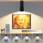 Coollamp Wireless Picture Lights for Wall, 6000mAh Battery Operated Wall Lights, Painting Lights with Adjustable Focus 4 Color Temperatures Dimmer Timer Remote Control, Led Spot Lights for Ceiling