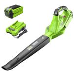 Greenworks 40V 150 MPH Variable Speed Cordless Blower, 2.0 AH Battery Included 24252