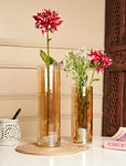 Bs amor Set of 2 Glass Cylinder Vases 8.5 + 10 Inch Tall - Multi-use: Pillar Candle, Floating Candles Holders or Flower Vase – Perfect as a Wedding Centerpieces Pack of 2(Amber)