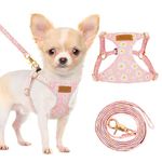 Eyein Small Dog Harness & Lead Sets, Lightweight Adjustable Soft Daisy Pattern for Extra Small Dog Harness, No Pull Escape Proof Breathable Easy Fit Puppy Harness for Small Medium Dogs Cats(XXS)