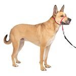 PetSafe Dog Nylon Gentle Leader Head Collar with Training DVD, Medium 25-60 Lbs., Red,?20.32 cm,W_3.18 cm