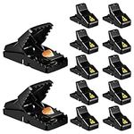 Mouse Trap, 12 Pack Mouse-Traps-Ind