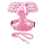 EXPAWLORER Soft Mesh Dog Harness and Leash Set - Pink Dog Harness, No Choke Step-in Adjustable Cute Dog Harness, Breathable Lightweight Vest Harness for Puppy Dogs Cats Outdoor Walking, Medium